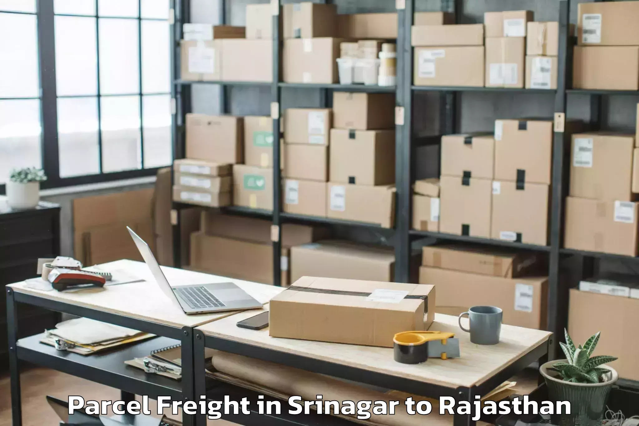 Professional Srinagar to Raisingh Nagar Parcel Freight